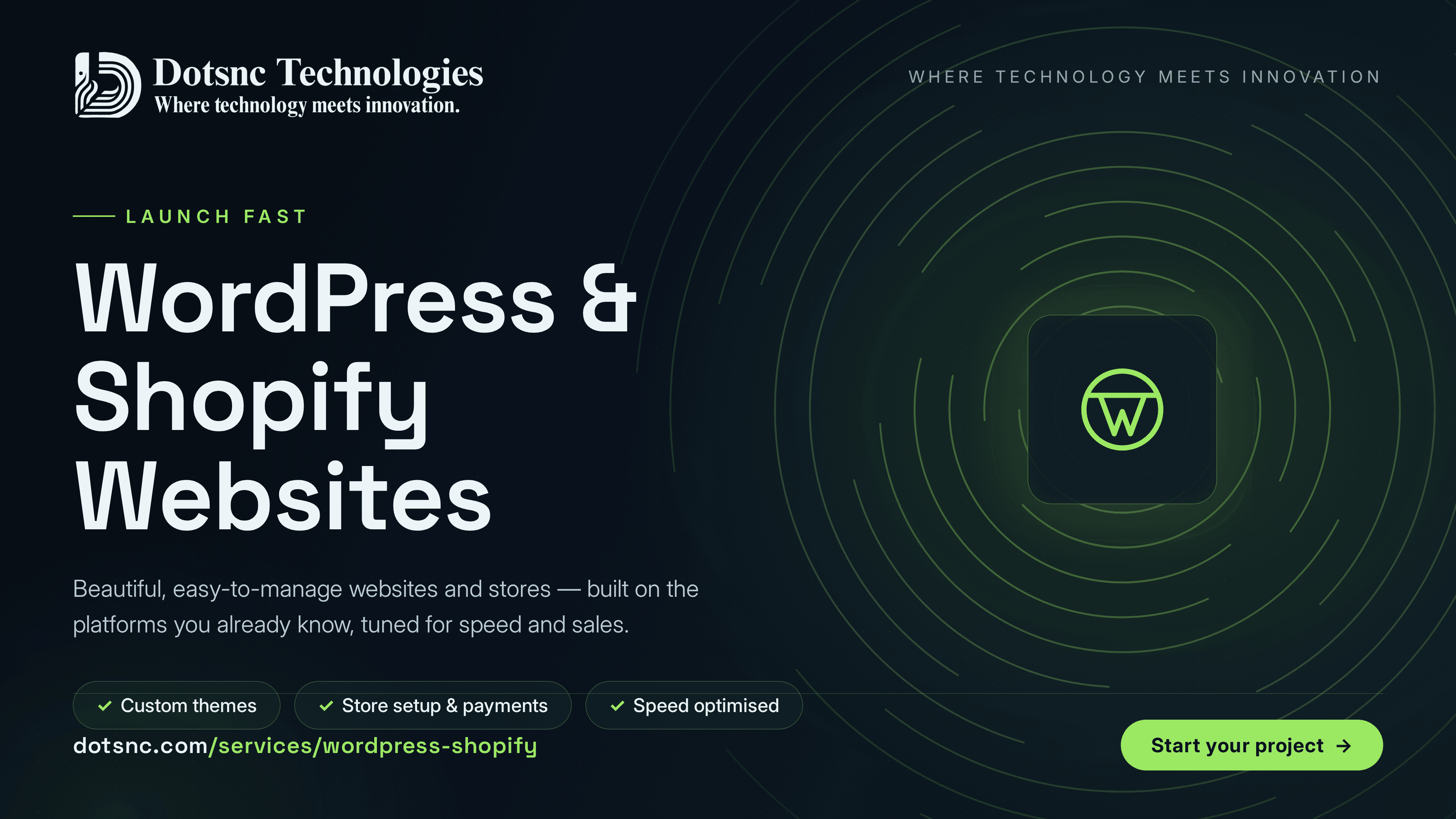 WordPress & Shopify Websites